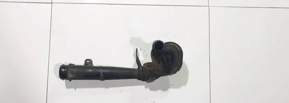 Citroen C5 Intercooler hose/pipe 5419254190