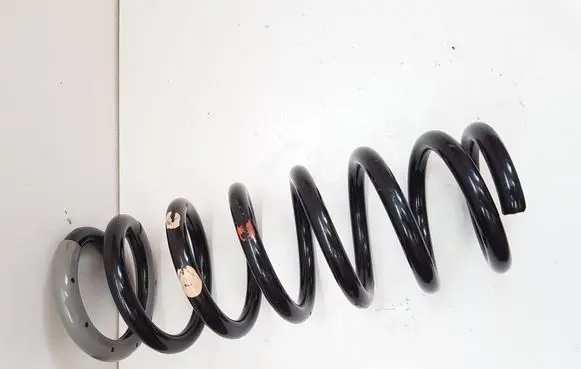 Rear coil spring