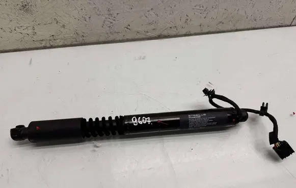 Tesla Model X Rear door soft close latching motor 106344100C