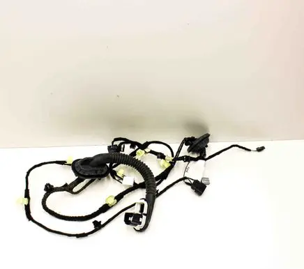Other wiring loom