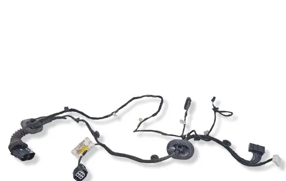 Rear door wiring loom