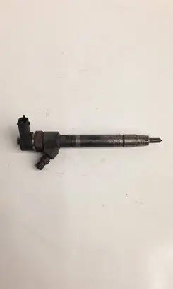 Volvo C30 Fuel injector 0445110251 307502832411