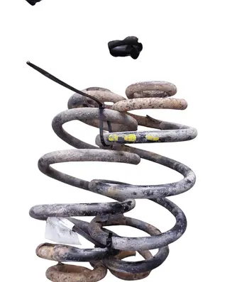 Rear coil spring