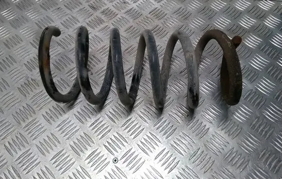 Front coil spring