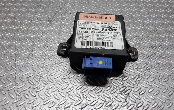 KIA Sorento Other control units/modules 956003E300