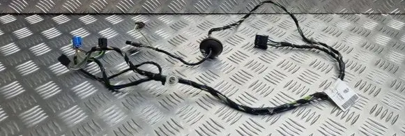 Mercedes-Benz B W245 Front door wiring loom A1695403605 982657100 SACH01695