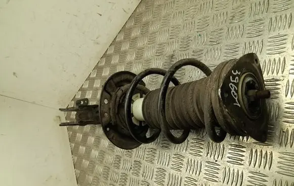 Renault Megane E-Tech Rear shock absorber with coil spring 562100525R