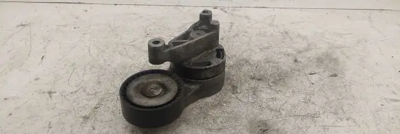 Seat Toledo III (5P) Timing belt tensioner 03G903315