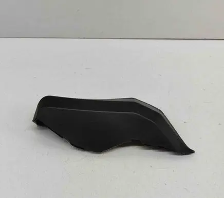 Rear/tail light trim molding