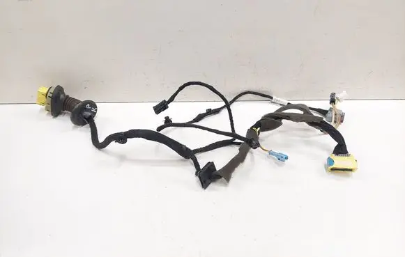 Citroen C4 I Picasso Front door wiring loom 9662009080