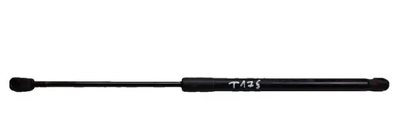 Tailgate/trunk strut/damper