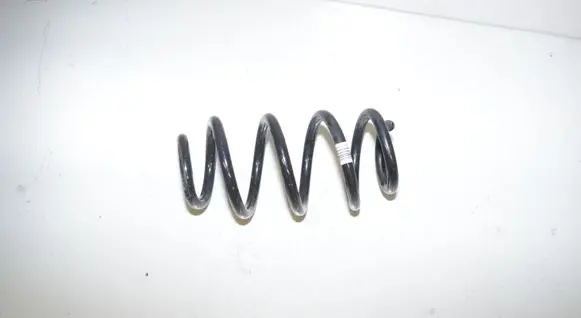 Rear coil spring