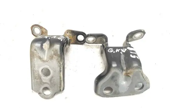 Subaru Outback Rear door hinge set D4S