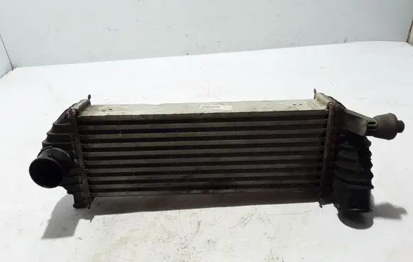 Renault Kangoo II Intercooler radiator 8200427469