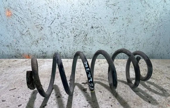 Rear coil spring