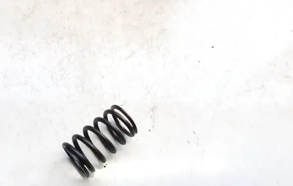 Volkswagen PASSAT B6 Valve spring 