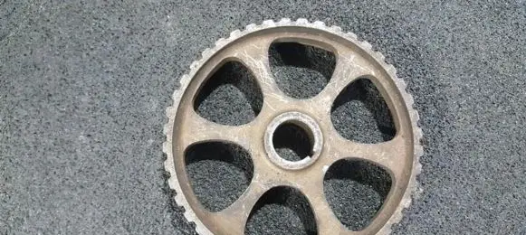 Camshaft pulley/ VANOS