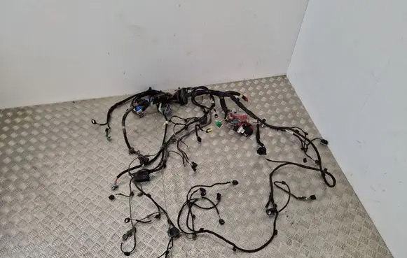 Other wiring loom