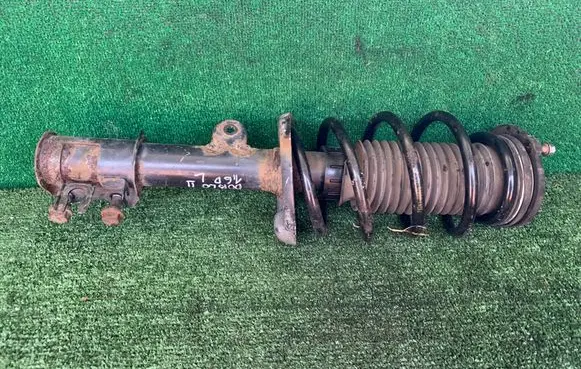 Fiat Doblo Front shock absorber with coil spring 51880839 824903008432