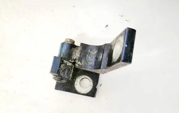 Rear door lower hinge