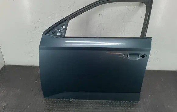 Skoda Fabia Mk3 (NJ) Front door LF7Y