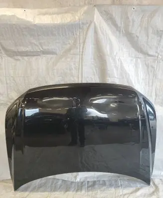 Volkswagen Tiguan Engine bonnet/hood 5NA823155