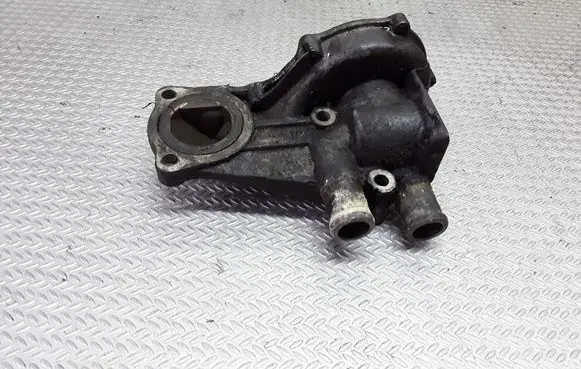 Thermostat/thermostat housing