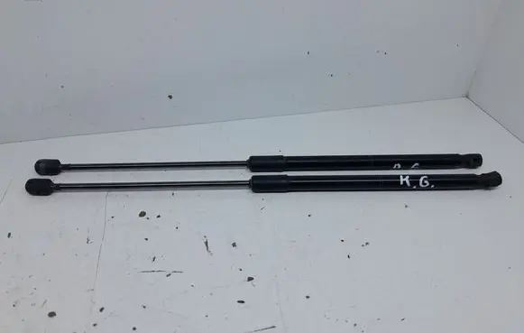 Tailgate/trunk strut/damper