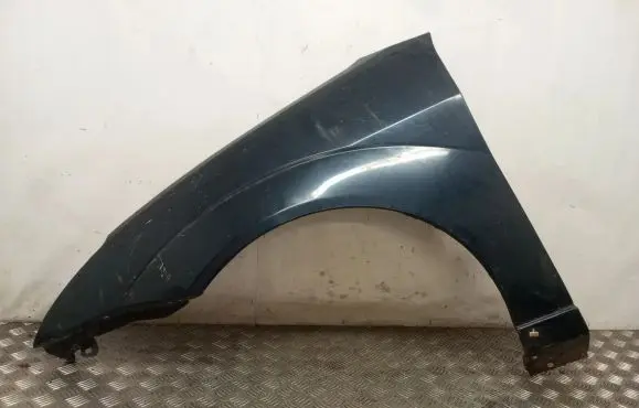 Ford Focus Fender