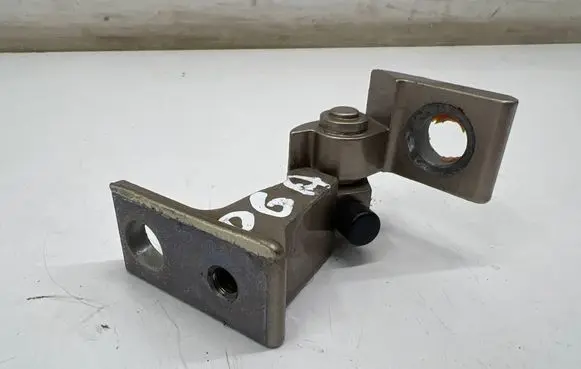 Rear door lower hinge