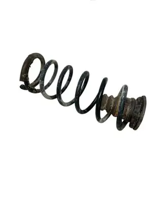 Rear coil spring