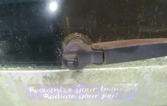 Rear window wiper motor