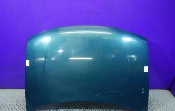 Engine bonnet/hood