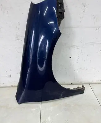 Volkswagen Golf V Fender