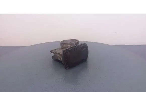 Throttle body valve
