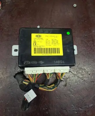KIA Sportage Other control units/modules 954001F400 4838731000