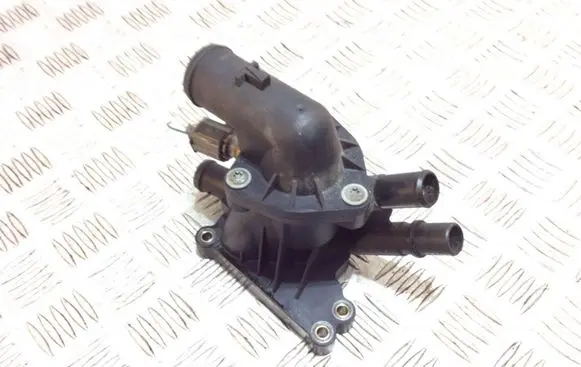 Thermostat/thermostat housing
