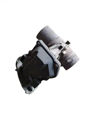 Renault Kadjar Throttle valve 50885503 17615E2321