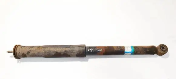 Toyota Urban Cruiser (XP110) Rear shock absorber/damper