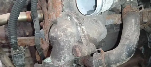 Honda FR-V Engine coolant pipe/hose