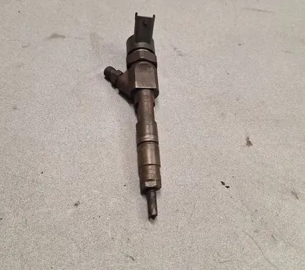 Renault Laguna II Fuel injector 0445110178