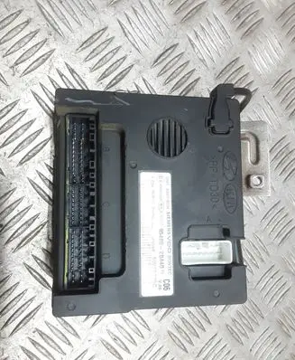 Hyundai Santa Fe Door central lock control unit/module 954002B440
