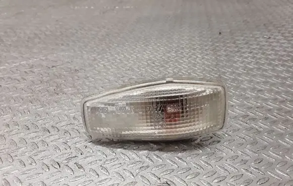 Front fender indicator light