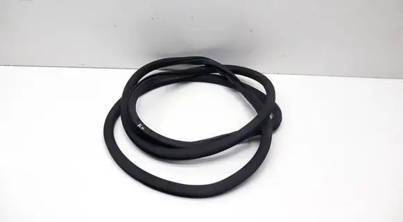 Porsche Panamera (970) Rubber seal front coupe door 