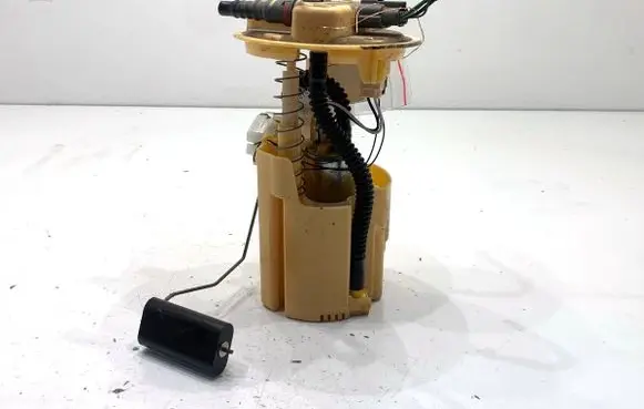 Renault Captur In-tank fuel pump 172021275R