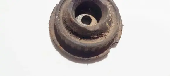 Coil spring mount