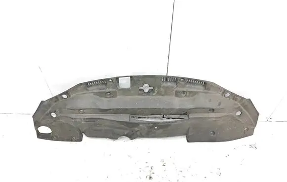Lexus IS 220D-250-350 Radiator trim 5329553020