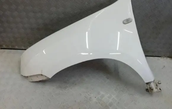Dacia Duster Fender