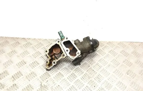 Thermostat/thermostat housing