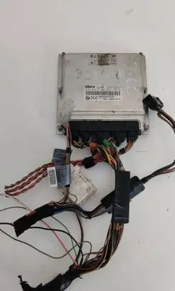 Land Rover Freelander Engine control unit/module 0281010811 NNN500340